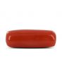 Red Coral (Moonga) - 5.64 Carat 