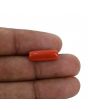 Red Coral (Moonga) - 5.64 Carat 