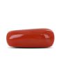 Red Coral (Moonga) - 5.28 Carat 
