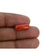Red Coral (Moonga) - 5.28 Carat 