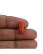 Red Coral (Moonga) - 5.28 Carat 