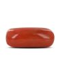 Red Coral (Moonga) - 5.23 Carat 