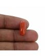 Red Coral (Moonga) - 5.23 Carat 