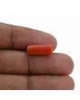 Red Coral (Moonga) - 5.23 Carat 