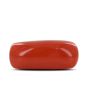 Red Coral (Moonga) - 4.69 Carat 