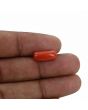 Red Coral (Moonga) - 4.69 Carat 