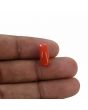 Red Coral (Moonga) - 4.69 Carat 