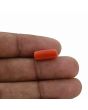 Red Coral (Moonga) - 4.69 Carat 