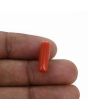 Red Coral (Moonga) - 5.25 Carat 