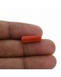 Red Coral (Moonga) - 5.25 Carat 