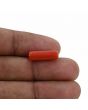 Red Coral (Moonga) - 5.1 Carat 