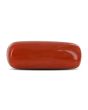 Red Coral (Moonga) - 5.37 Carat 