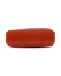 Red Coral (Moonga) - 5.37 Carat 