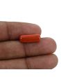 Red Coral (Moonga) - 5.37 Carat 