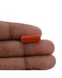 Red Coral (Moonga) - 5.37 Carat 
