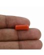 Red Coral (Moonga) - 5.27 Carat 