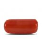 Red Coral (Moonga) - 5.25 Carat 