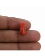 Red Coral (Moonga) - 5.25 Carat 
