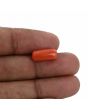 Red Coral (Moonga) - 5.21 Carat 