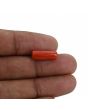 Red Coral (Moonga) - 5.4 Carat 