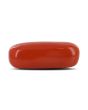 Red Coral (Moonga) - 4.78 Carat 