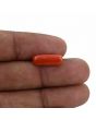 Red Coral (Moonga) - 4.78 Carat 