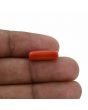 Red Coral (Moonga) - 4.74 Carat 