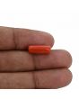 Red Coral (Moonga) - 4.84 Carat 