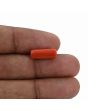 Red Coral (Moonga) - 4.84 Carat 