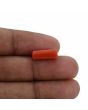 Red Coral (Moonga) - 4.77 Carat 