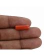 Red Coral (Moonga) - 5 Carat 