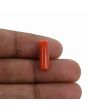 Red Coral (Moonga) - 5 Carat 