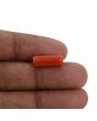 Red Coral (Moonga) - 5.3 Carat 