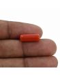 Red Coral (Moonga) - 5.3 Carat 
