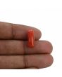Red Coral (Moonga) - 5.32 Carat 