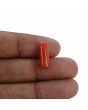 Red Coral (Moonga) - 4.71 Carat 