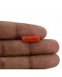 Red Coral (Moonga) - 4.71 Carat 