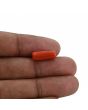 Red Coral (Moonga) - 4.76 Carat 