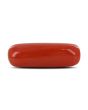 Red Coral (Moonga) - 5.03 Carat 