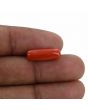 Red Coral (Moonga) - 5.03 Carat 
