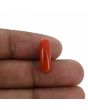Red Coral (Moonga) - 5.03 Carat 