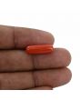 Red Coral (Moonga) - 6.33 Carat 