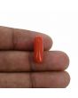 Red Coral (Moonga) - 6.33 Carat 