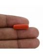 Red Coral (Moonga) - 6.33 Carat 