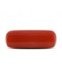 Red Coral (Moonga) - 4.65 Carat 