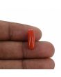 Red Coral (Moonga) - 4.65 Carat 