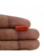 Red Coral (Moonga) - 4.65 Carat 