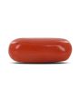 Red Coral (Moonga) - 4.64 Carat 