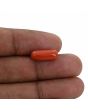 Red Coral (Moonga) - 4.64 Carat 