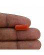 Red Coral (Moonga) - 4.64 Carat 